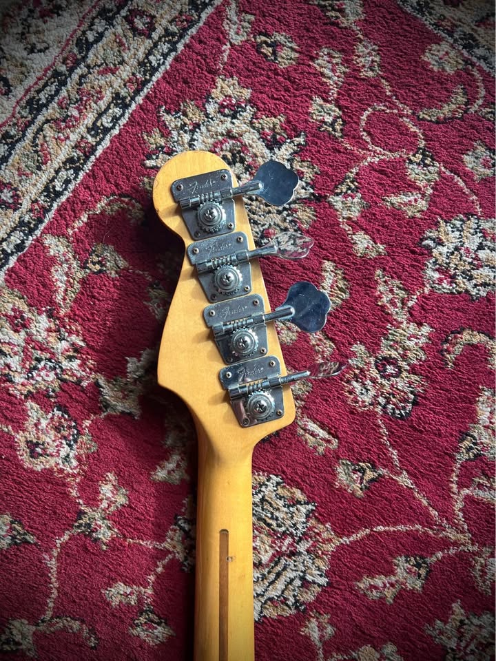 484493132_876619157869237_2975098957499828710_n