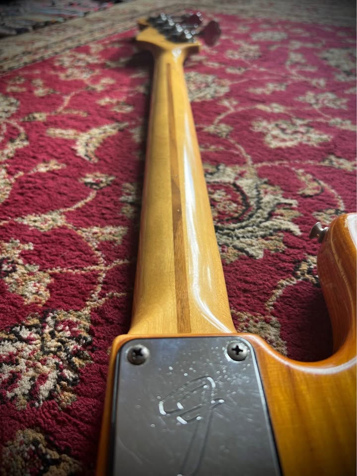 484557005_633204209576081_7524156767499721391_n