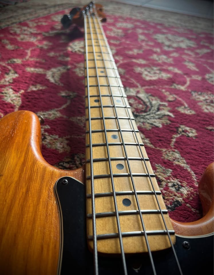 485133872_1650228245600395_7842683488022746697_n