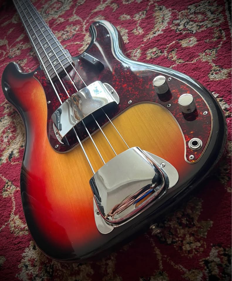 489373957_1177485520236779_4279235280298681944_n