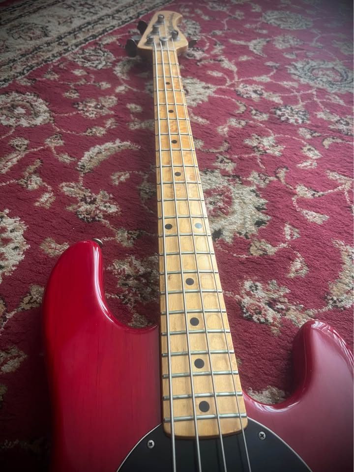 639581776_1475965940759497_4257108232738767096_n