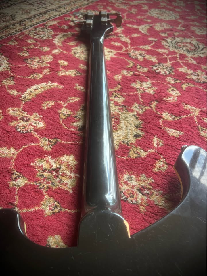 647202460_1282504787276644_6414374566242049773_n